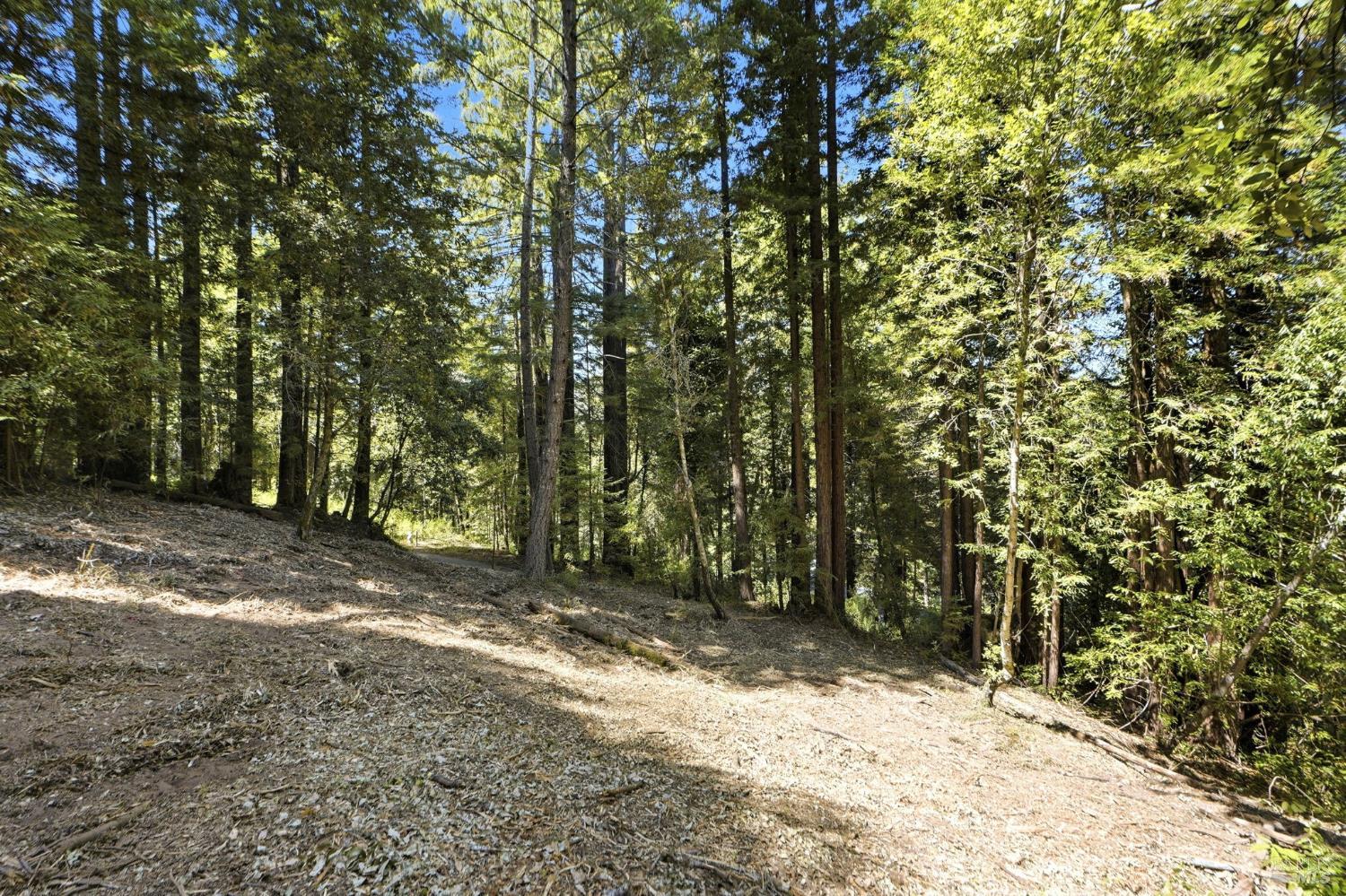 17554 Woods Avenue Guerneville CA 95446