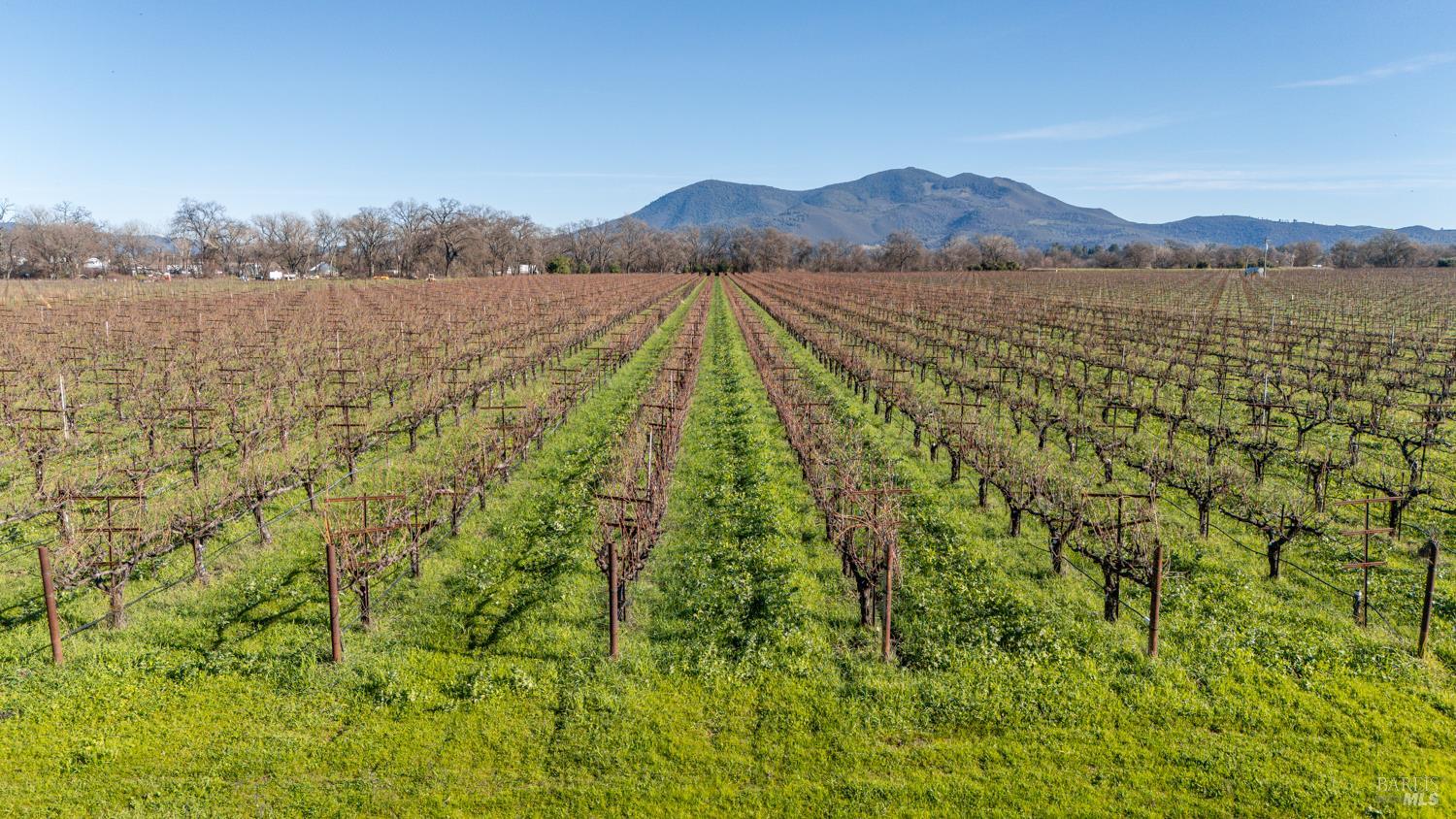 4450 Davis Drive Lakeport CA 95453