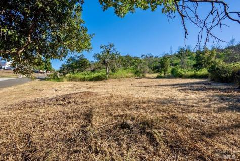 3927 Silver Fox Court Santa Rosa CA 95403