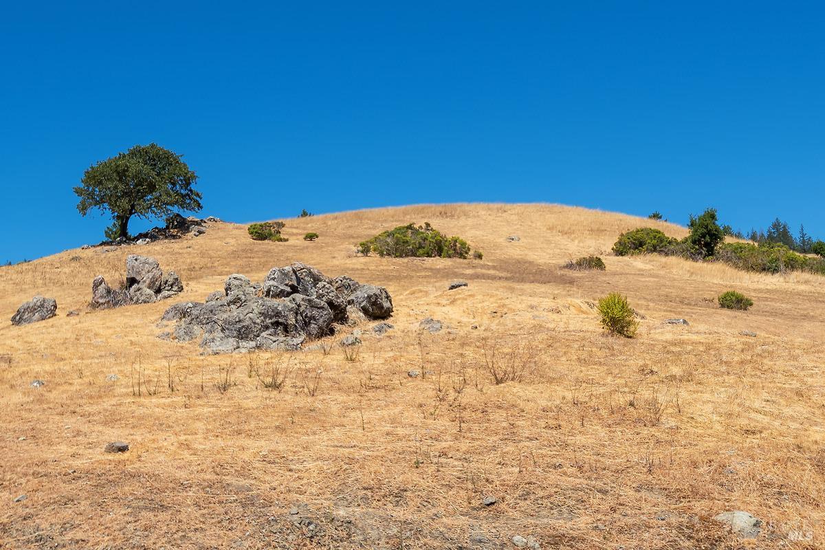 0 W Nicasio Road Nicasio CA 94946