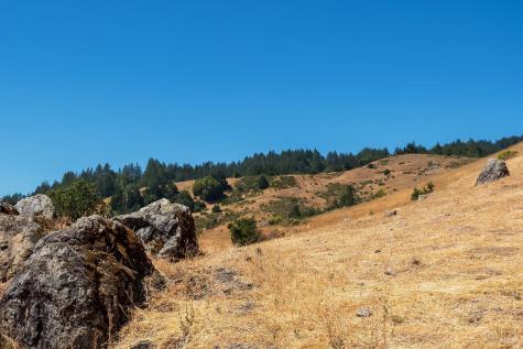 0 W Nicasio Road Nicasio CA 94946