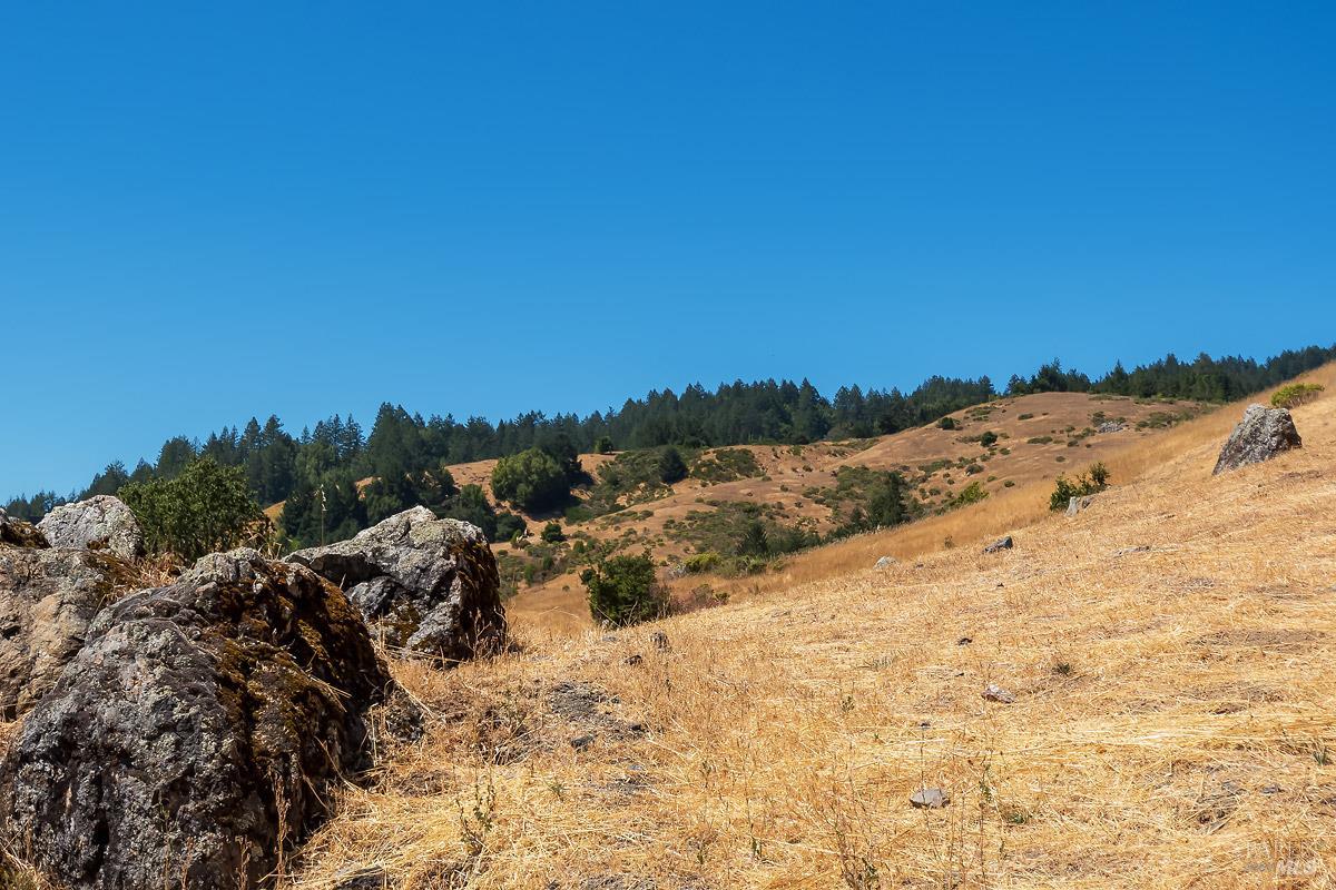 0 W Nicasio Road Nicasio CA 94946