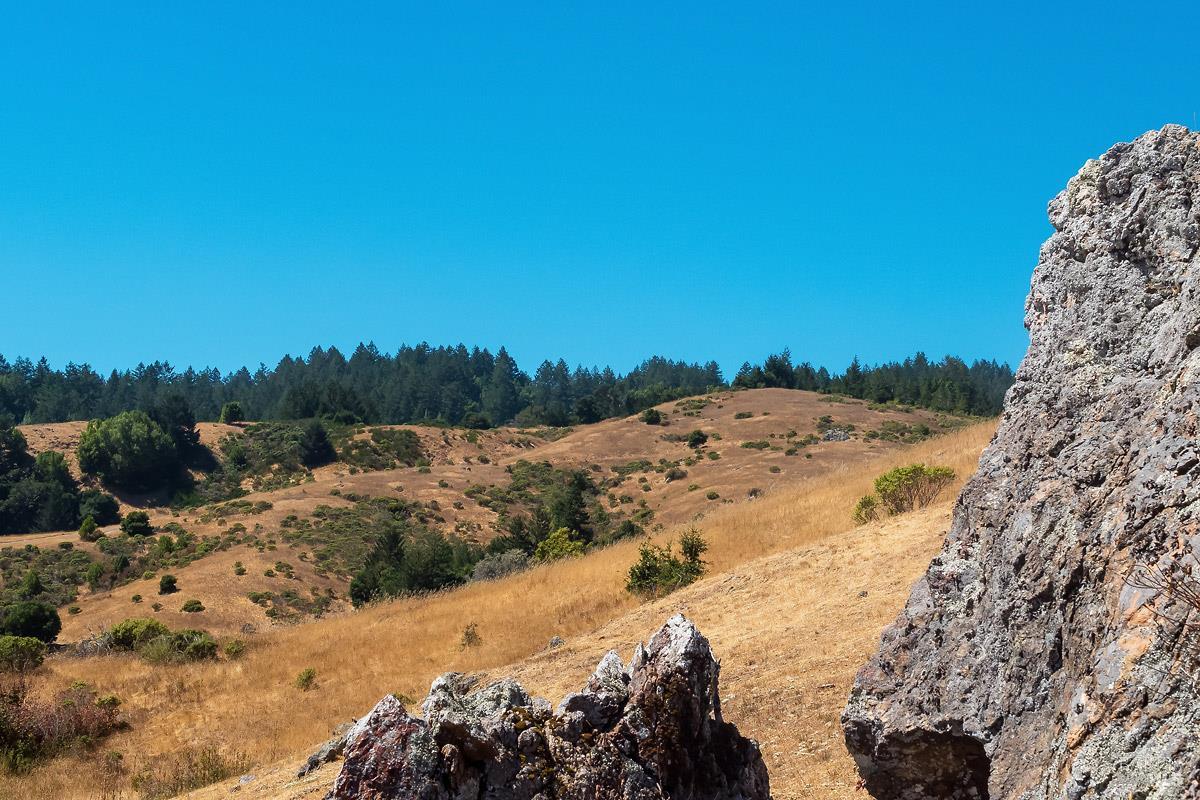 0 W Nicasio Road Nicasio CA 94946
