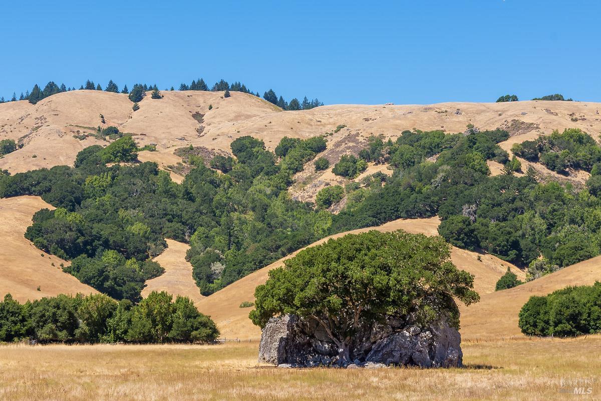 0 W Nicasio Road Nicasio CA 94946