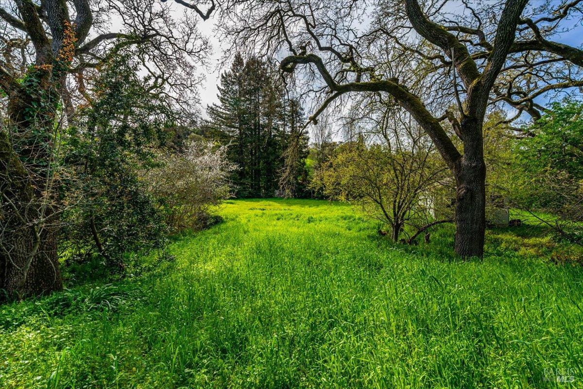1170 I Street Petaluma CA 94952