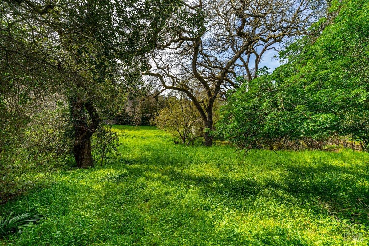 1170 I Street Petaluma CA 94952