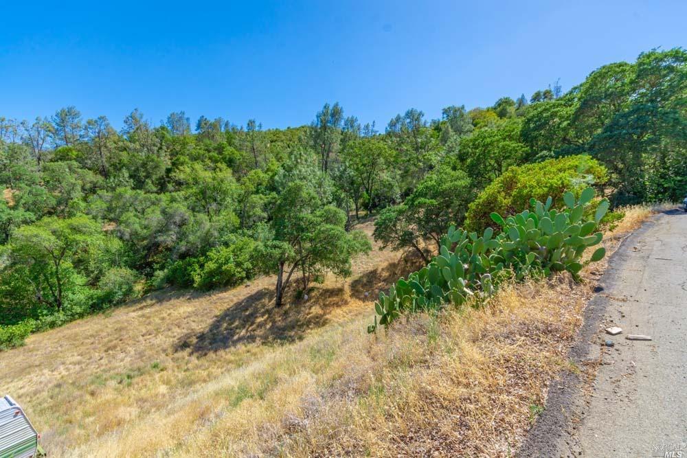 259 Sugarloaf Drive Napa CA 94558