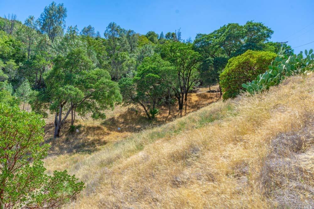259 Sugarloaf Drive Napa CA 94558