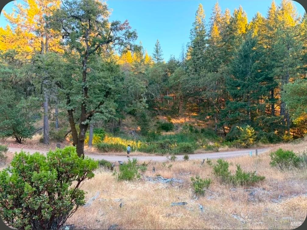 Willits CA 95490