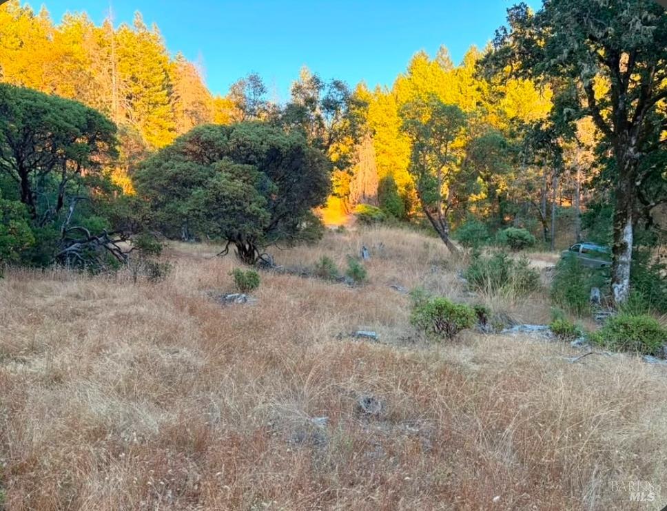 Willits CA 95490
