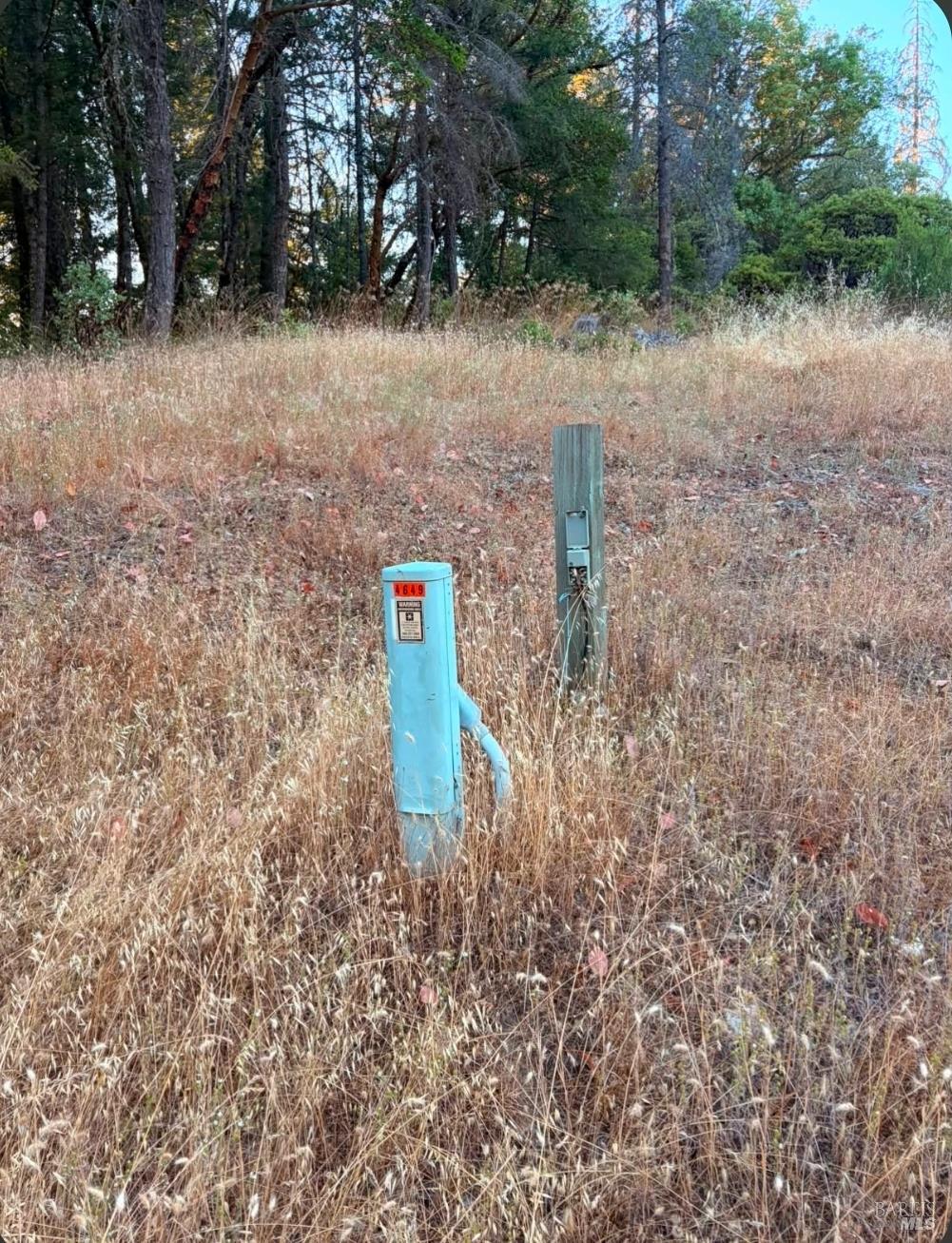 Willits CA 95490