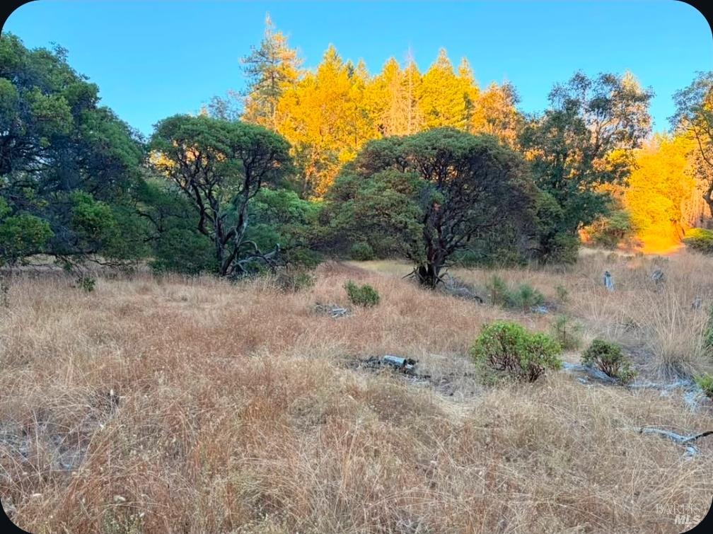Willits CA 95490