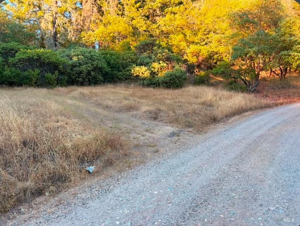Willits CA 95490