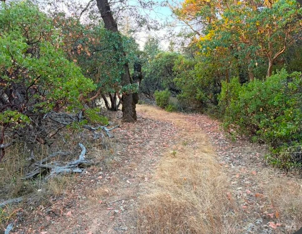 Willits CA 95490