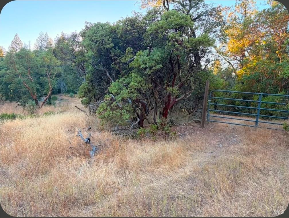 Willits CA 95490