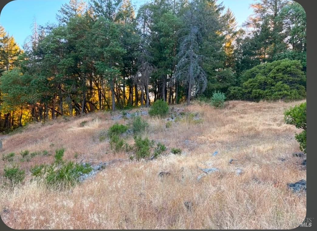Willits CA 95490