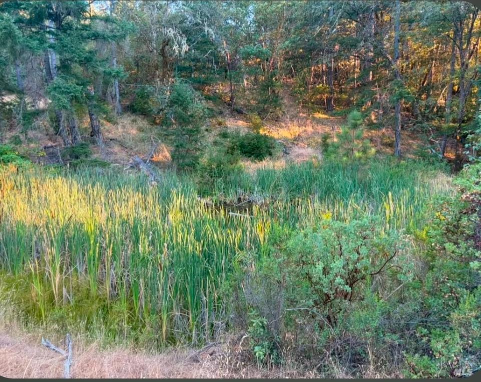 Willits CA 95490