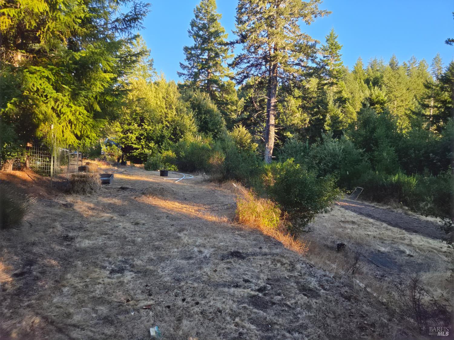 Willits CA 95490