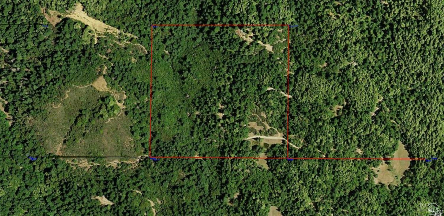 Willits CA 95490