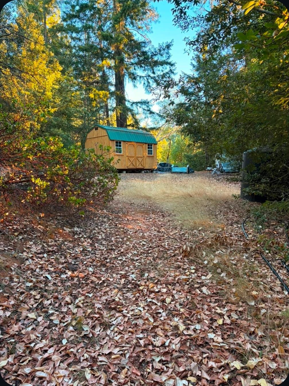 Willits CA 95490