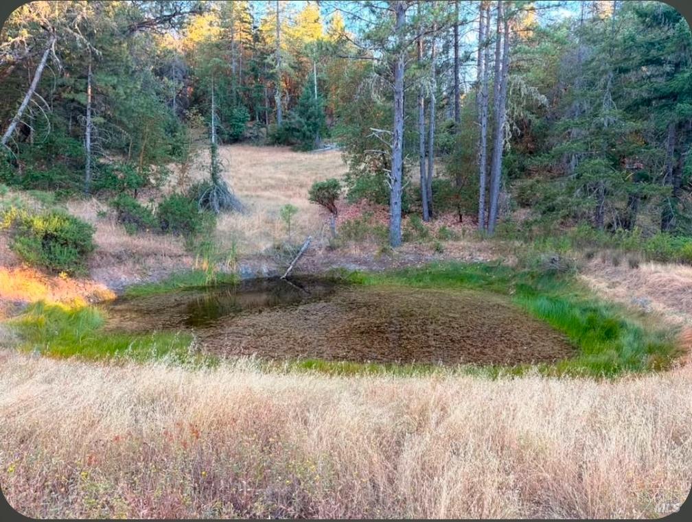 Willits CA 95490