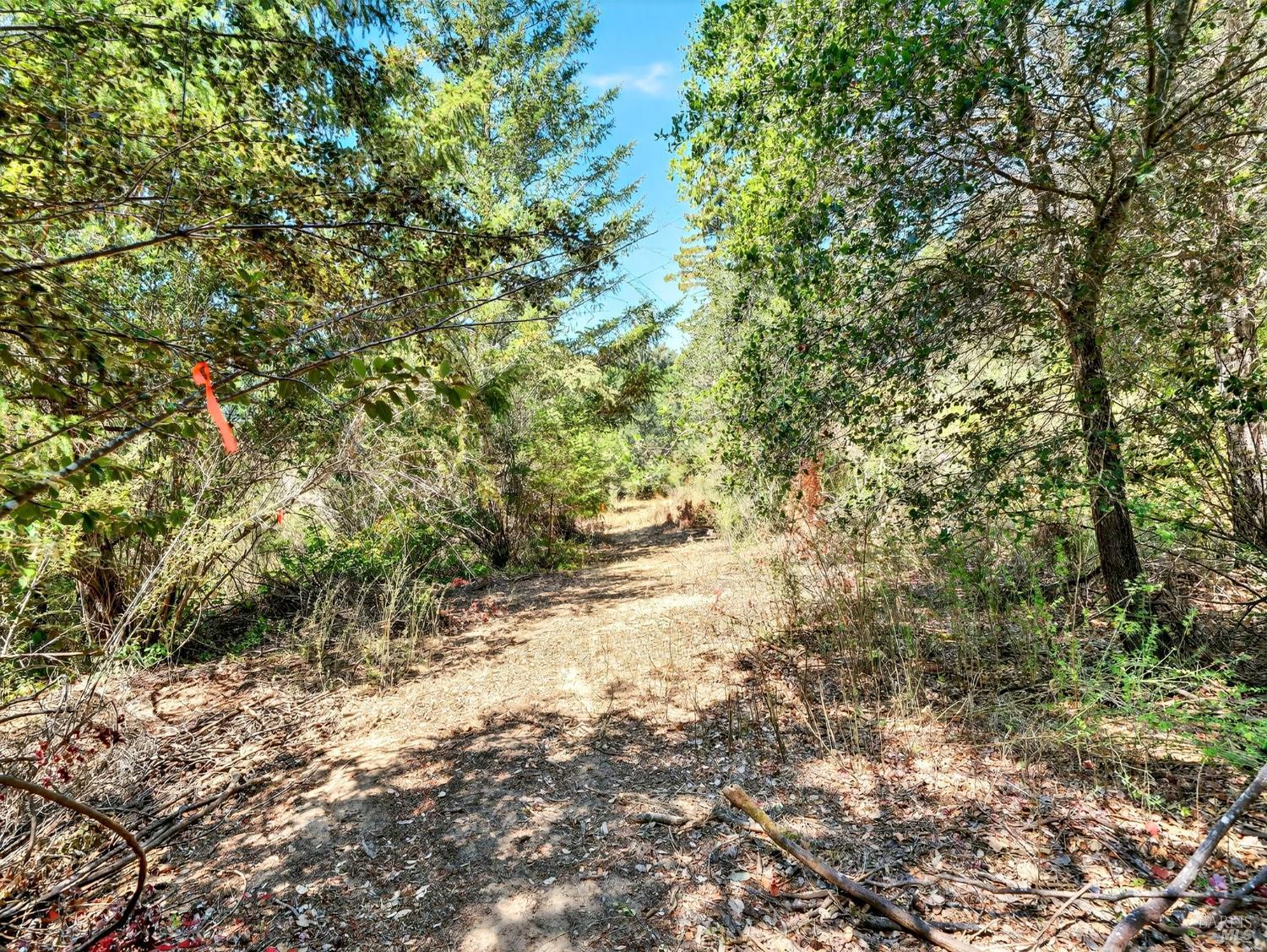 13353 Pocket Canyon Road Guerneville CA 95446