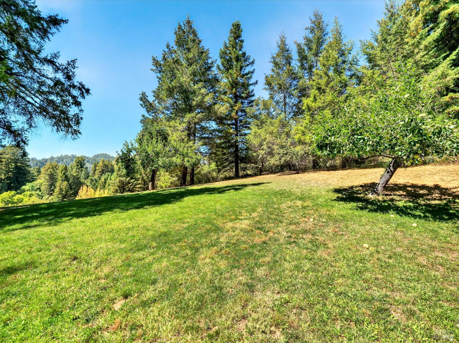 13353 Pocket Canyon Road Guerneville CA 95446