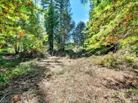 13353 Pocket Canyon Road Guerneville CA 95446