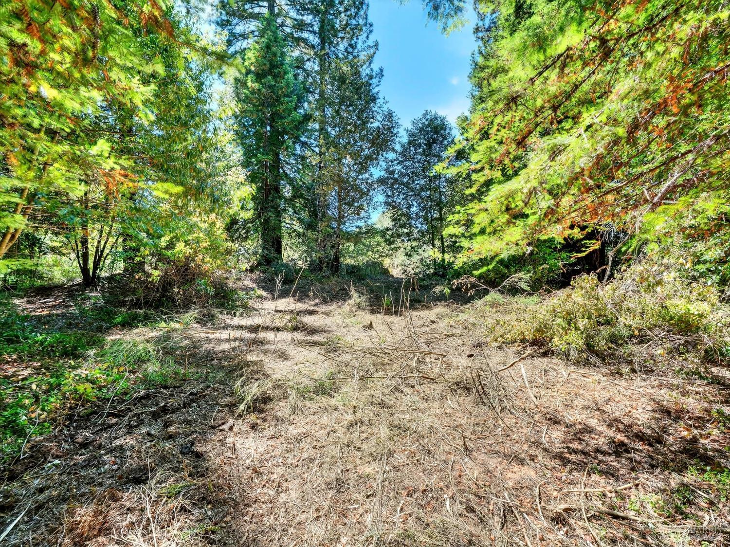 13353 Pocket Canyon Road Guerneville CA 95446
