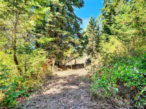 13353 Pocket Canyon Road Guerneville CA 95446