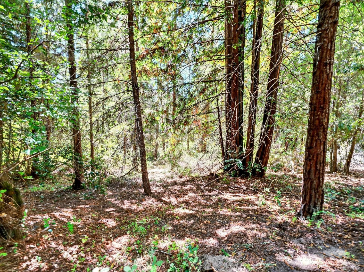 13353 Pocket Canyon Road Guerneville CA 95446