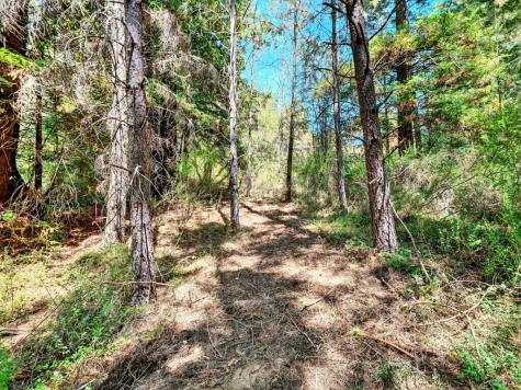 13353 Pocket Canyon Road Guerneville CA 95446