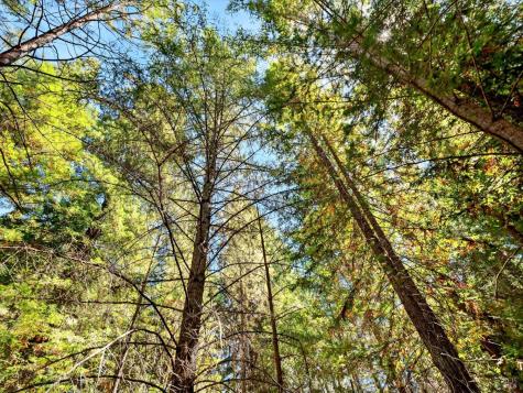 13353 Pocket Canyon Road Guerneville CA 95446