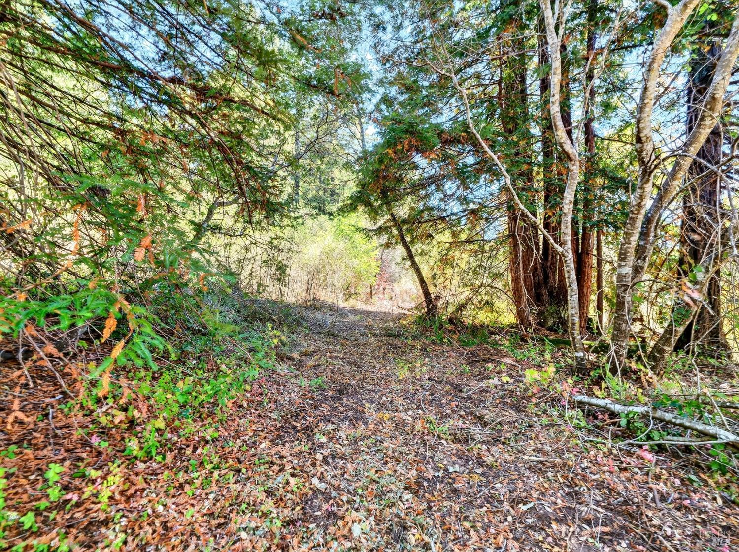 13353 Pocket Canyon Road Guerneville CA 95446