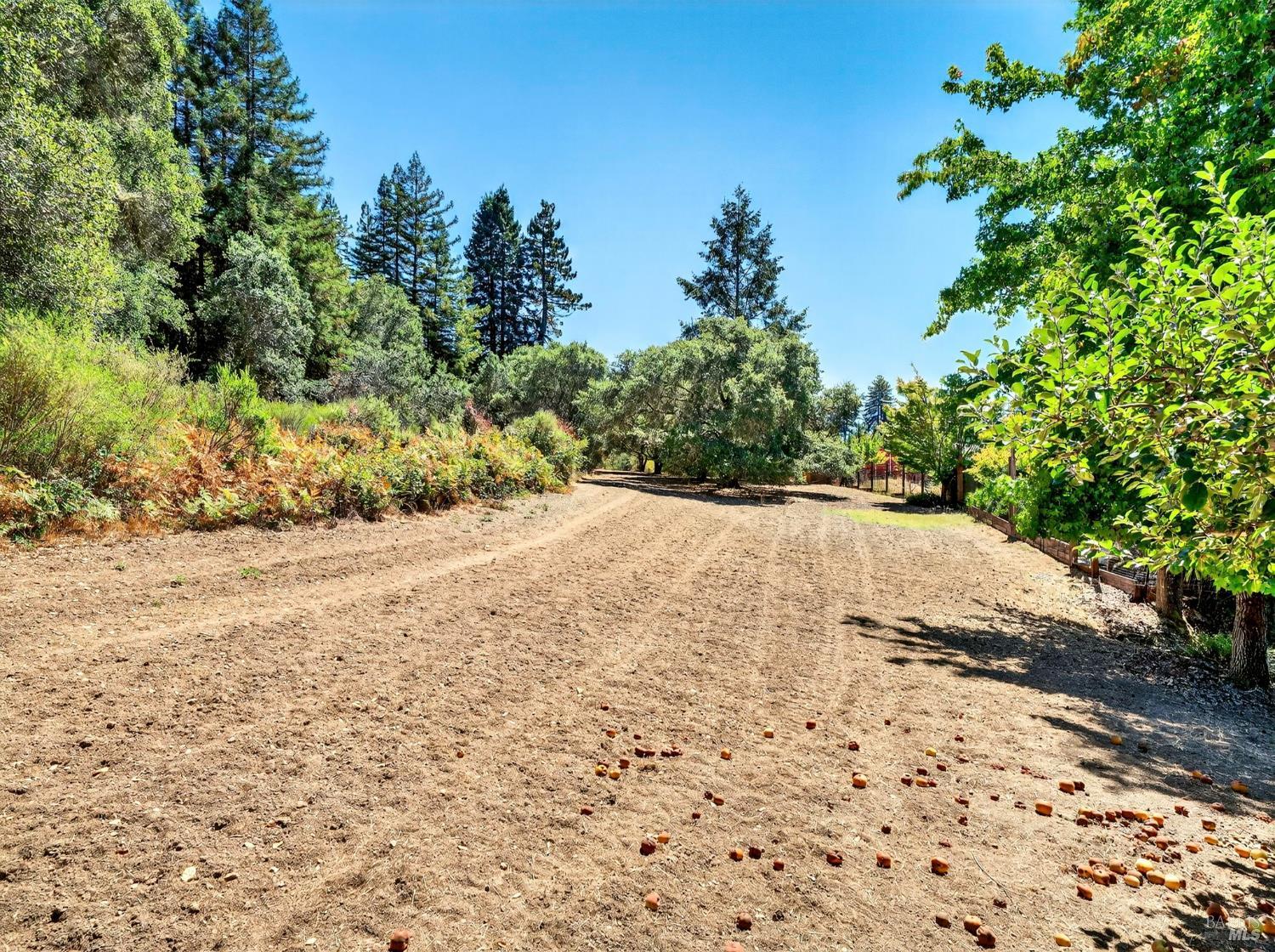 13353 Pocket Canyon Road Guerneville CA 95446