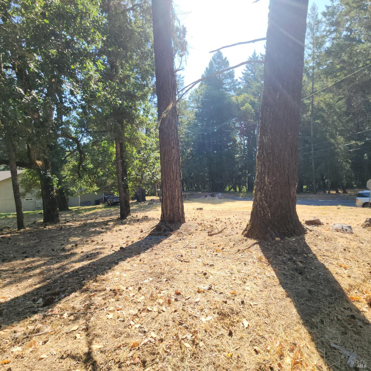 25331 Sherwood Road Willits CA 95490