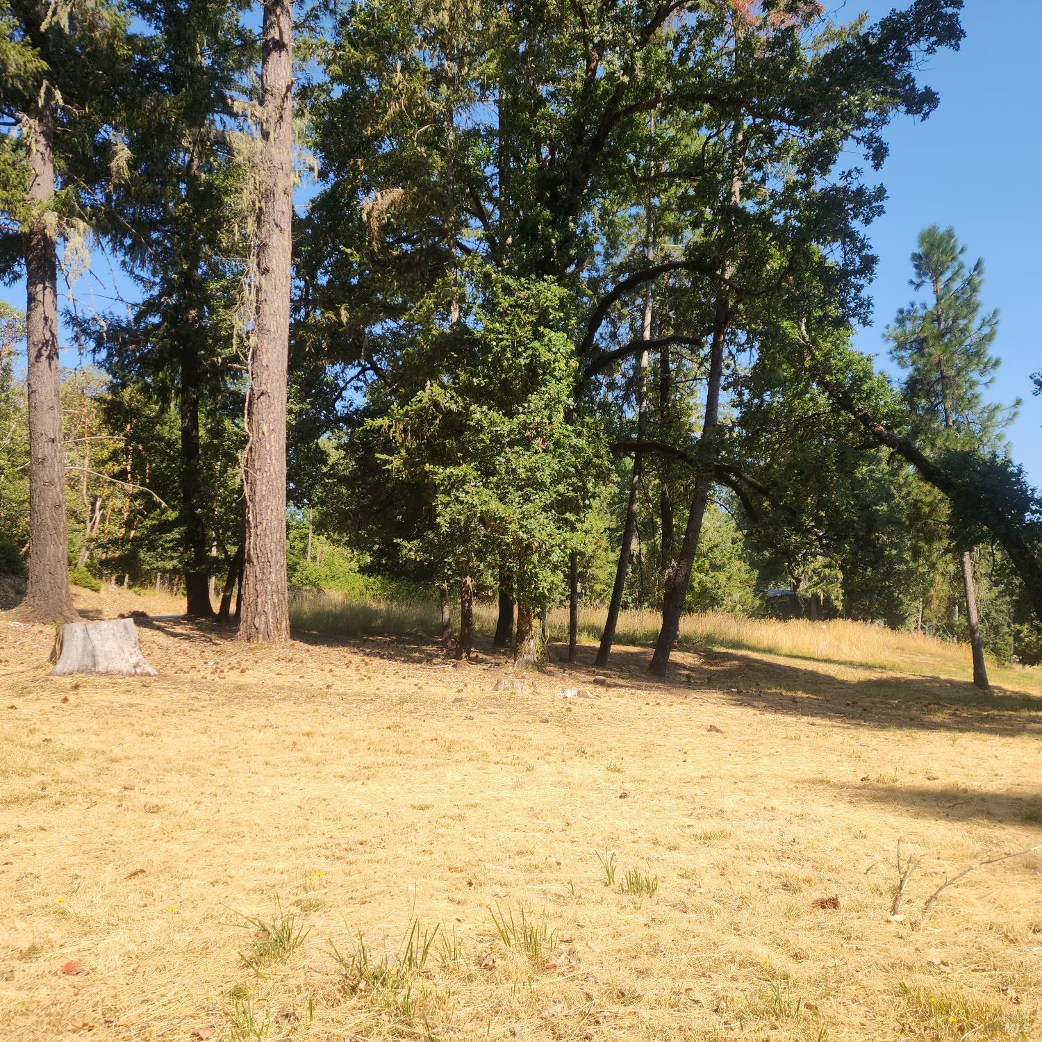 25331 Sherwood Road Willits CA 95490