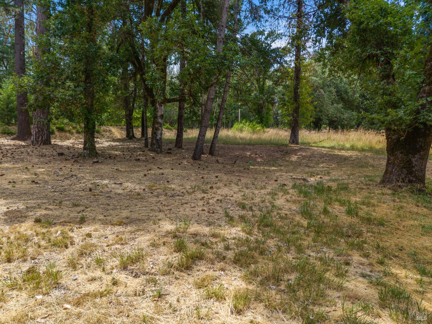 25331 Sherwood Road Willits CA 95490