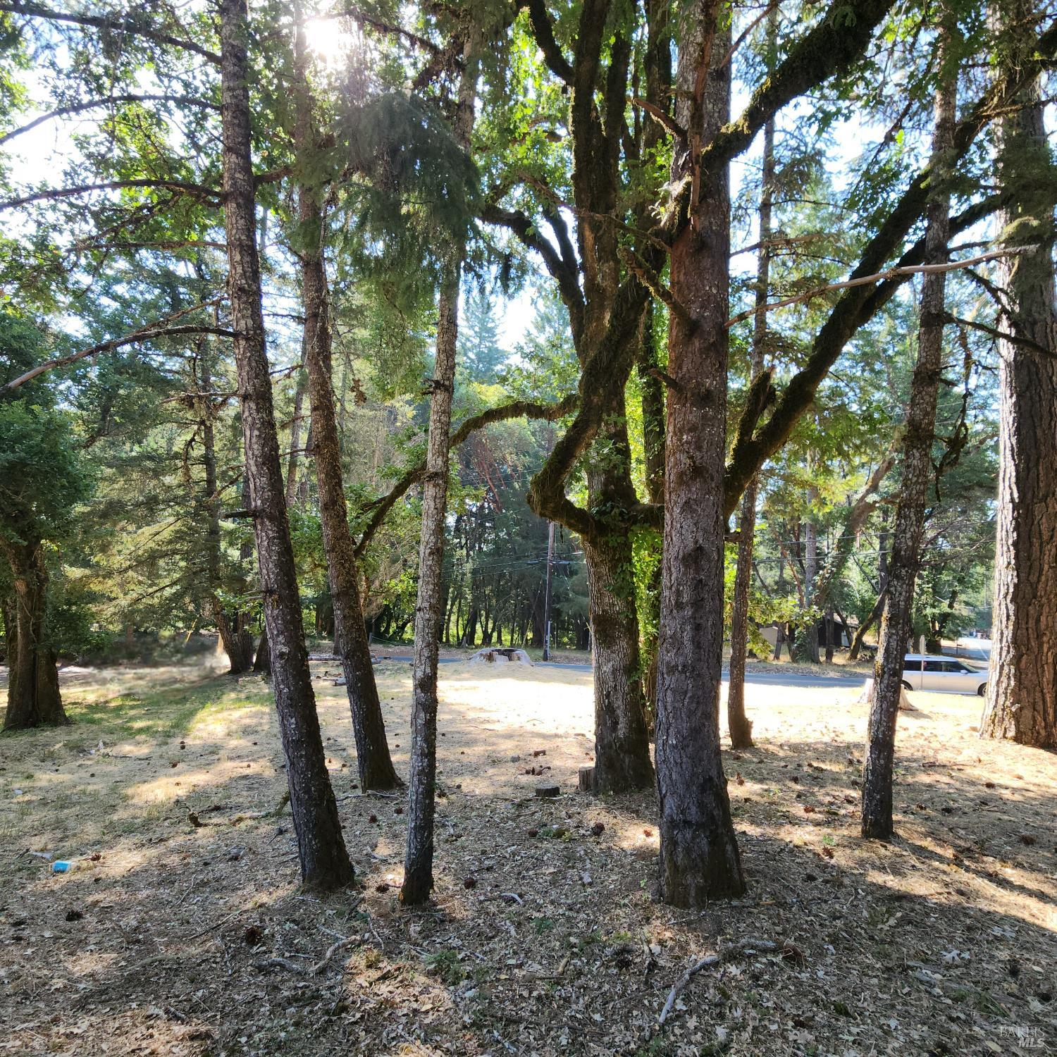 25331 Sherwood Road Willits CA 95490