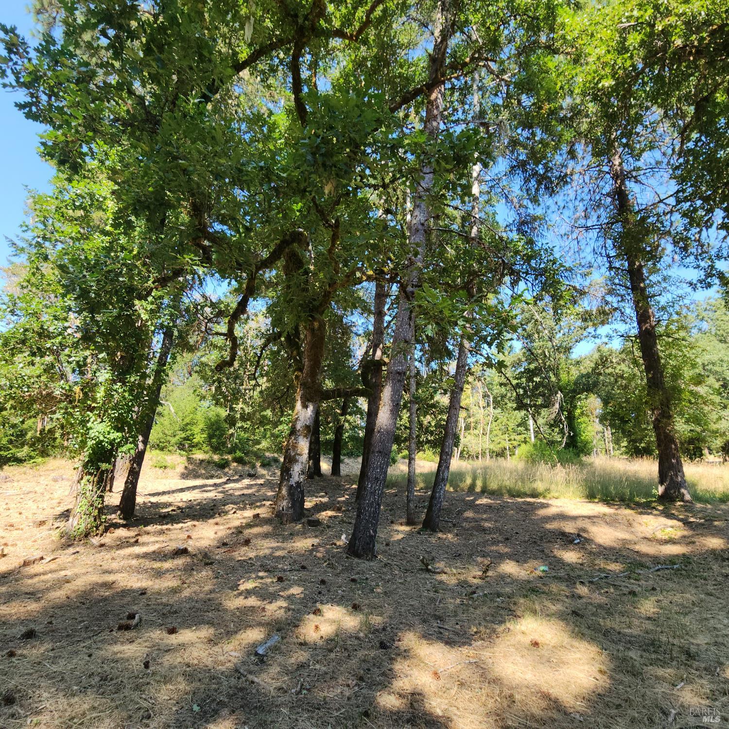 25331 Sherwood Road Willits CA 95490