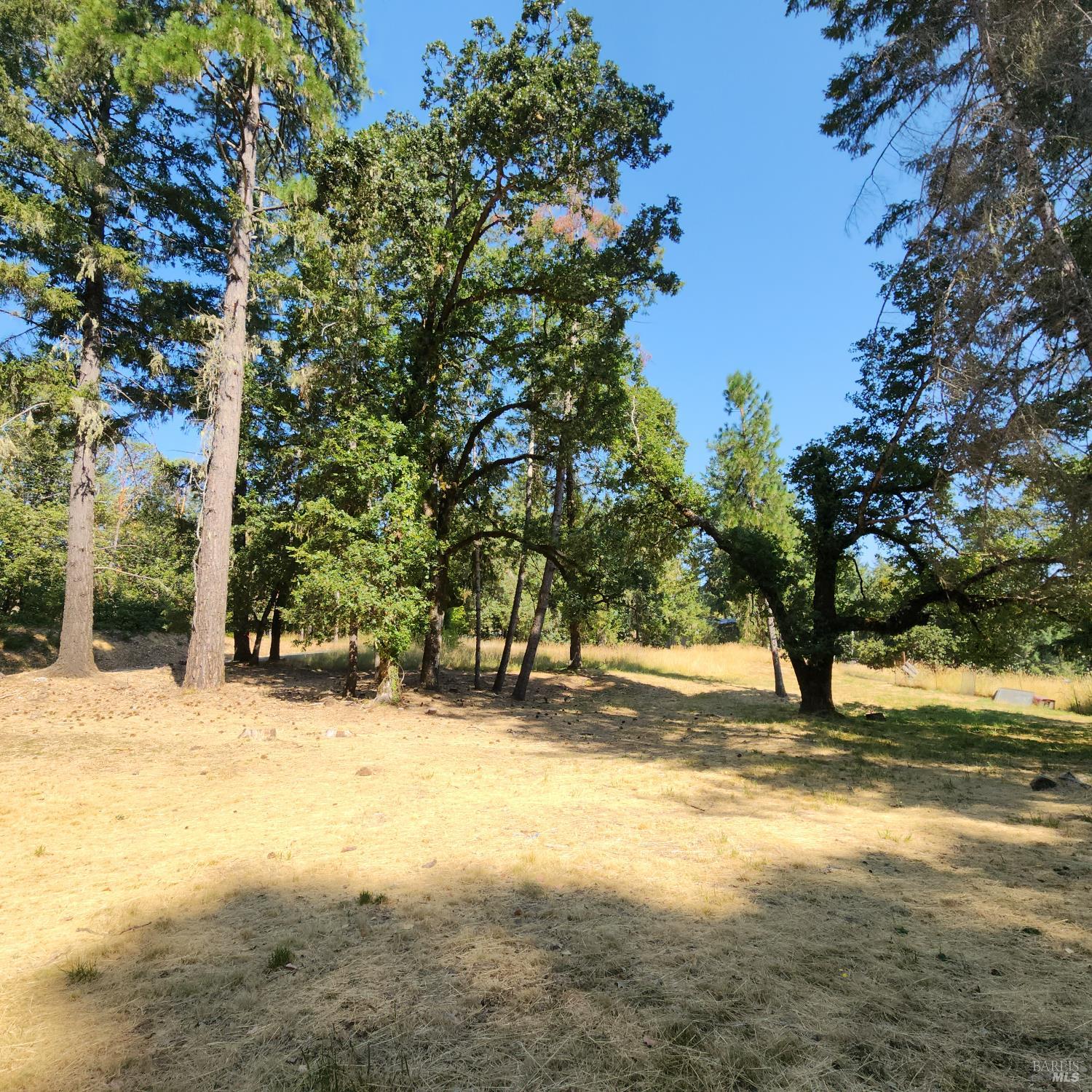 25331 Sherwood Road Willits CA 95490