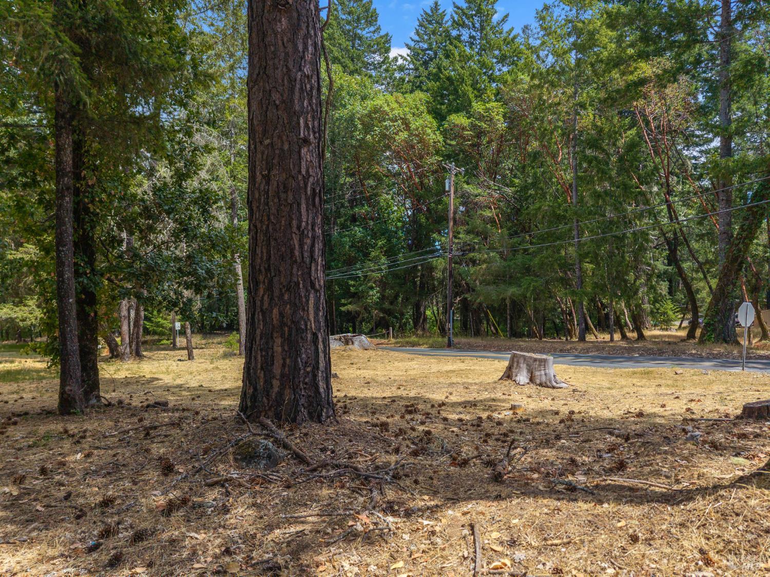25331 Sherwood Road Willits CA 95490