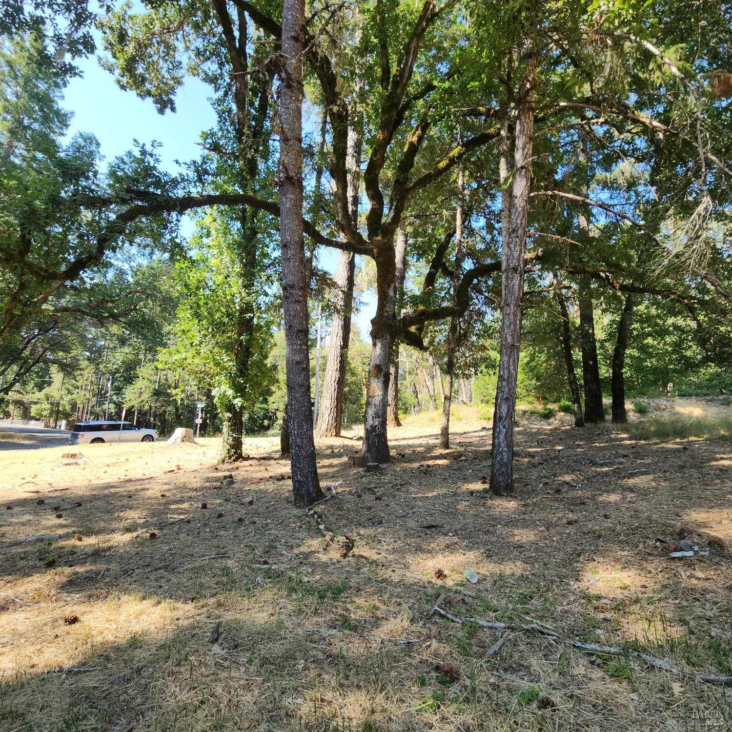 25331 Sherwood Road Willits CA 95490