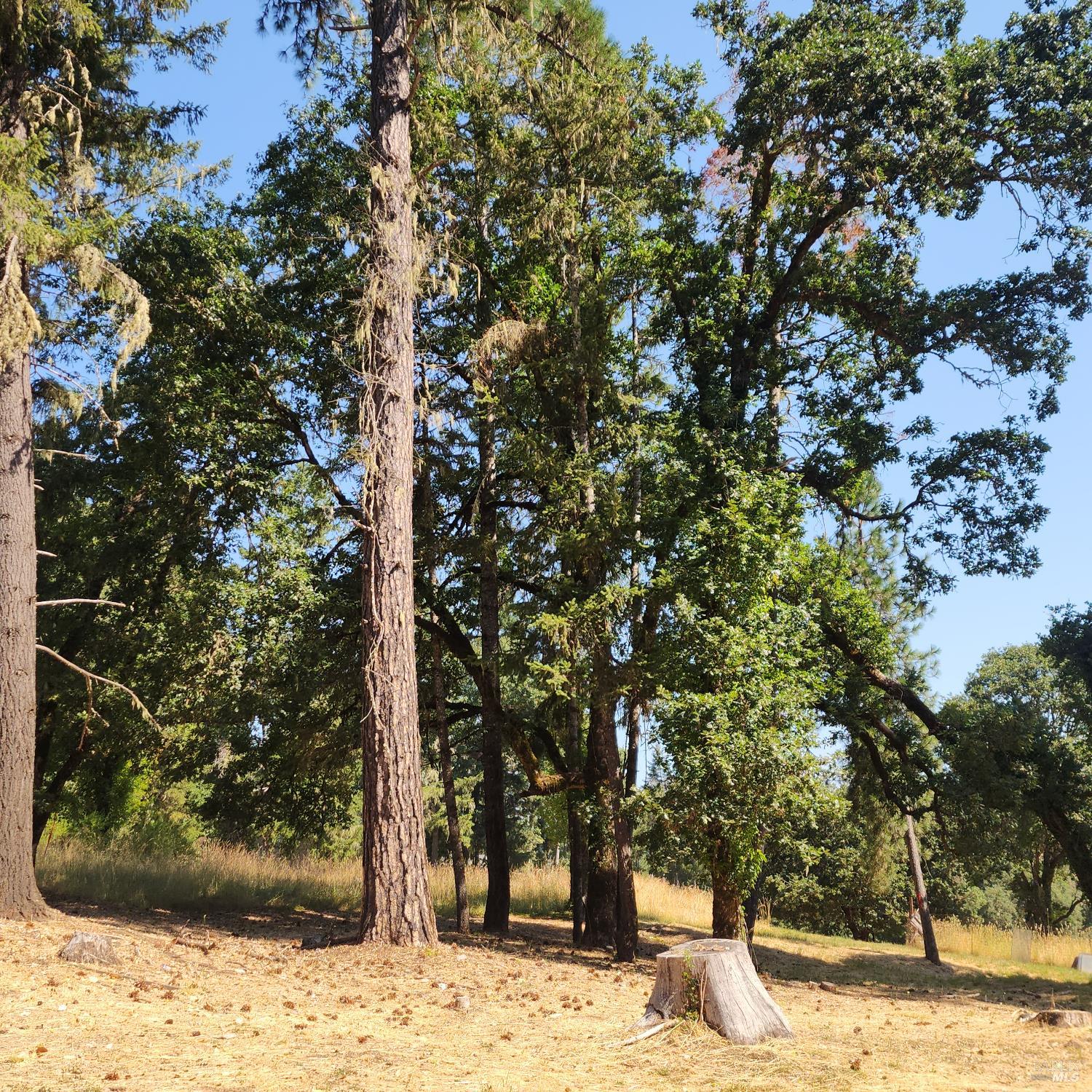 25331 Sherwood Road Willits CA 95490