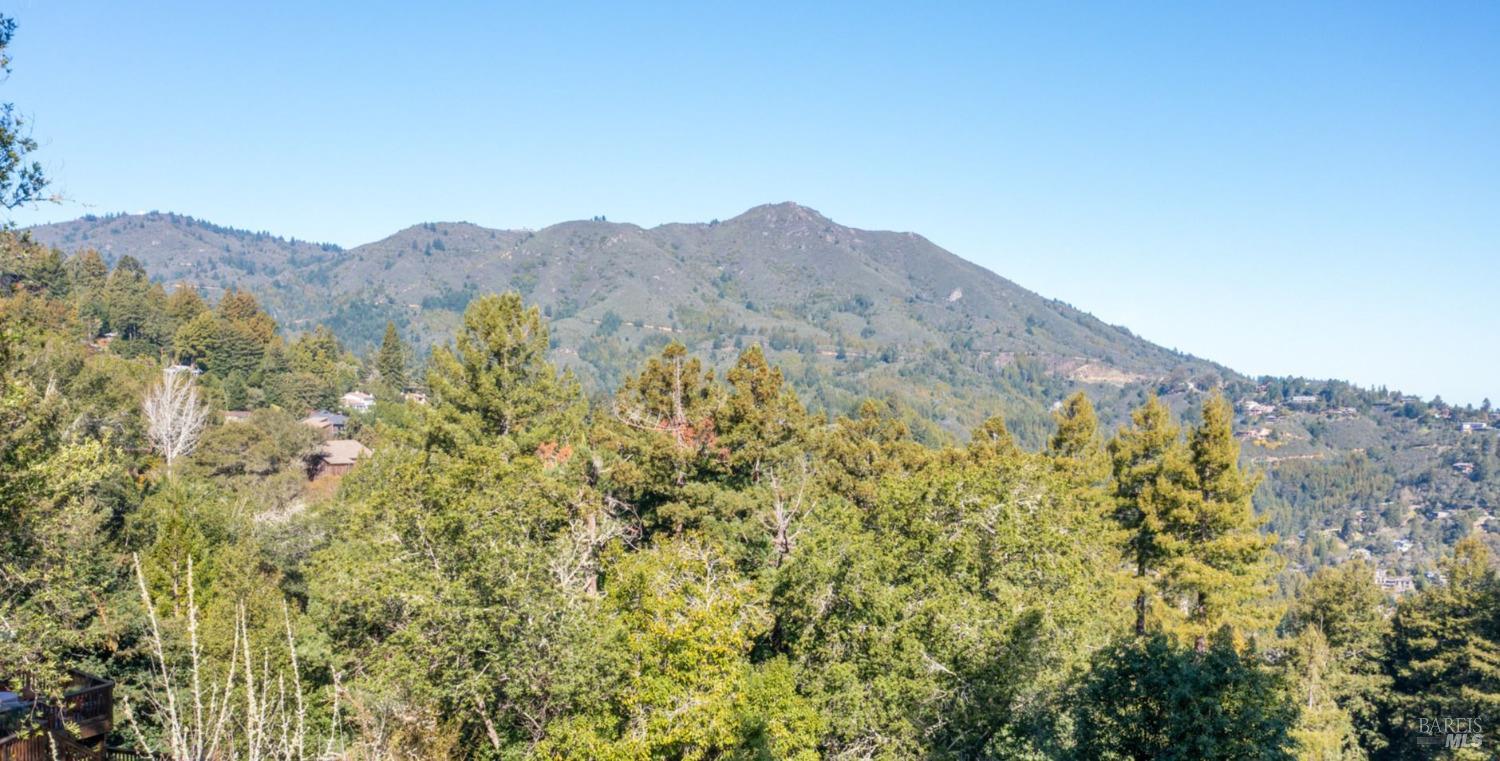 55 Mono Way Mill Valley CA 94941
