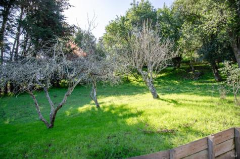 55 Mono Way Mill Valley CA 94941