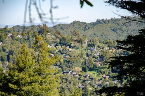 55 Mono Way Mill Valley CA 94941