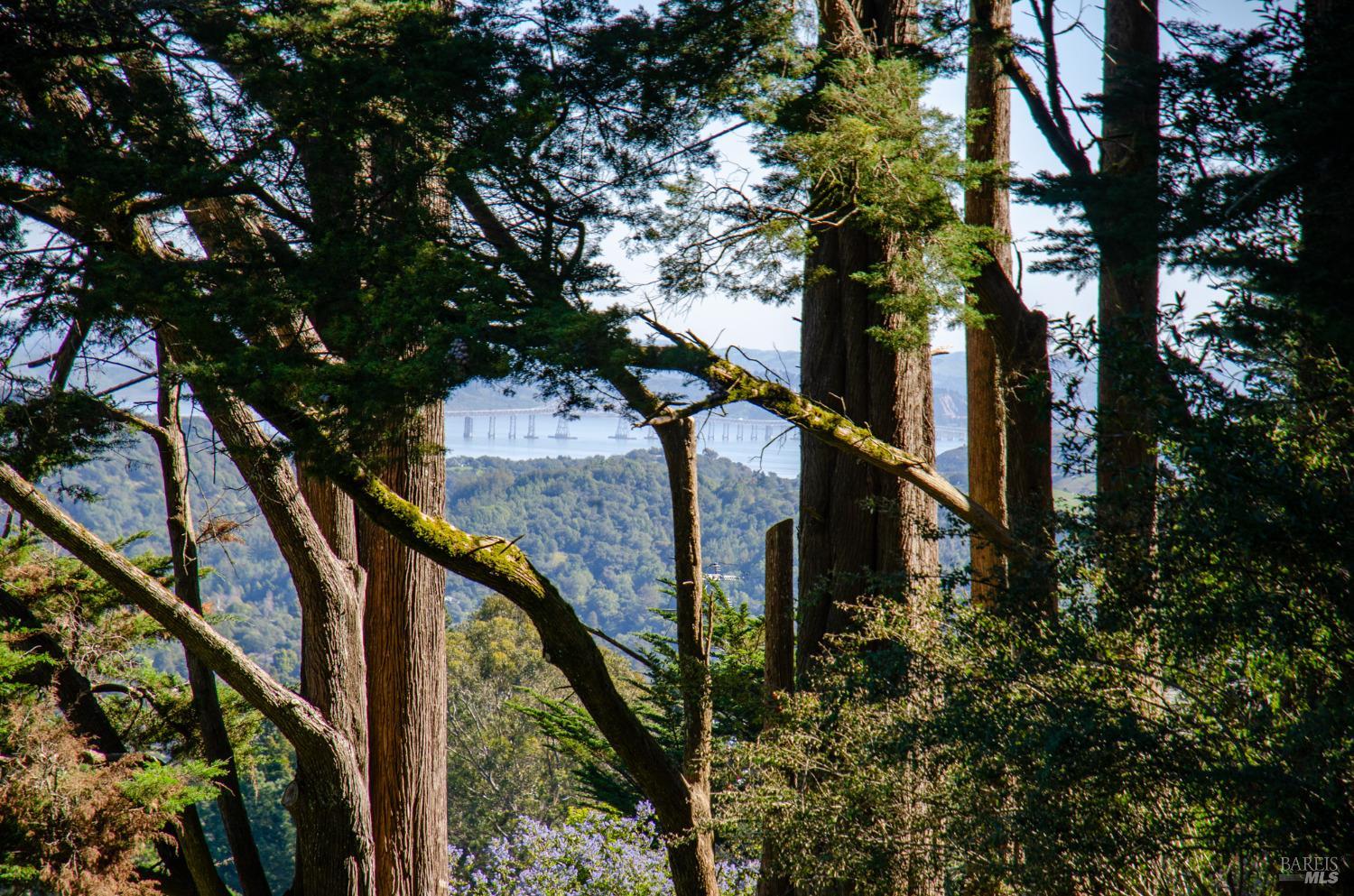 55 Mono Way Mill Valley CA 94941