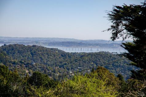 55 Mono Way Mill Valley CA 94941