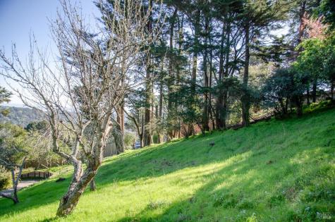 55 Mono Way Mill Valley CA 94941